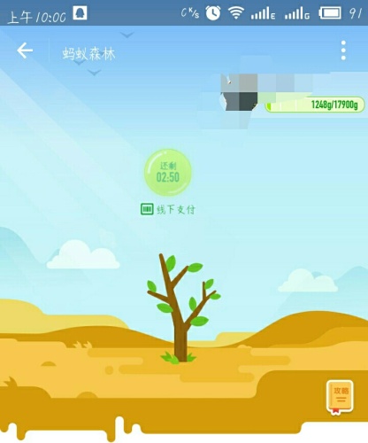 蚂蚁森林2号林·梭梭旅行图片 1