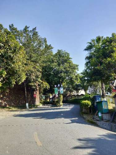 仁和公园旅行图片 2