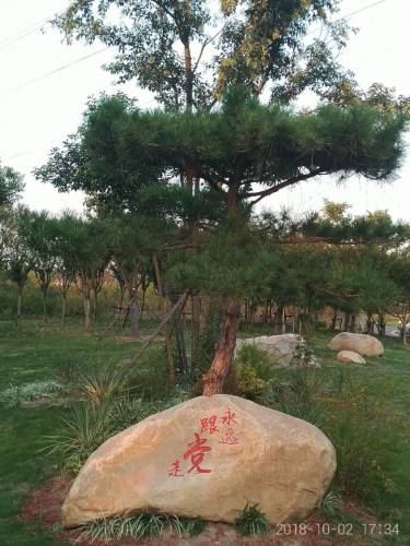 槐花村公园旅行图片 2