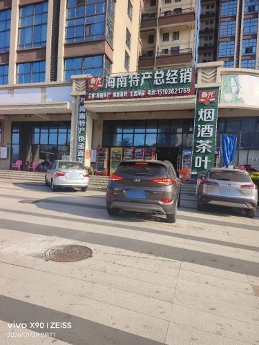 海南特产总经销