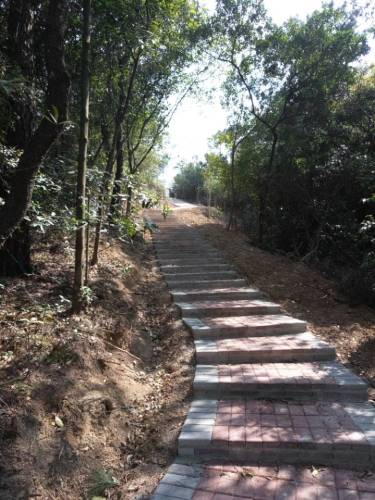 大岭山森林公园旅行图片 3
