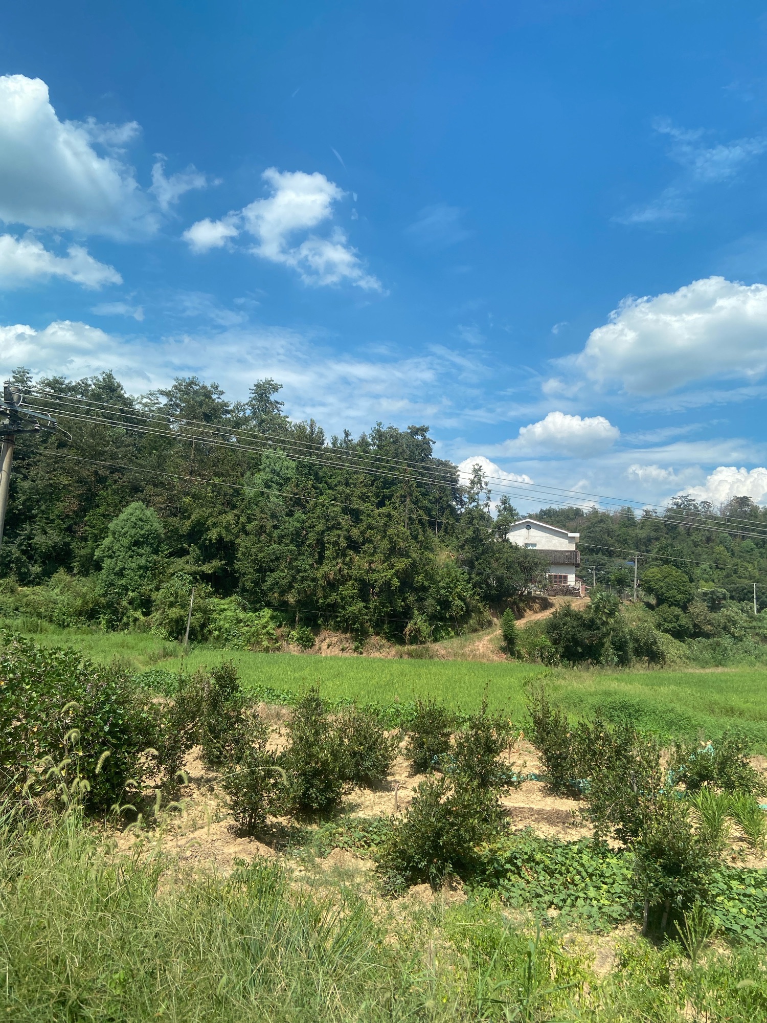 白云寺实景照片