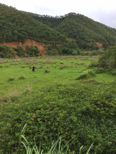 翠山竹海旅行图片 3