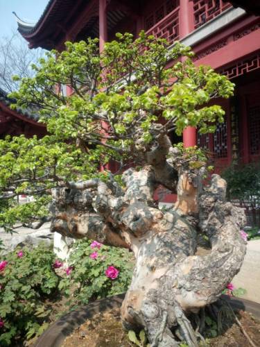 生态植物园旅行图片 1