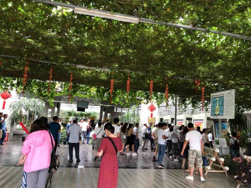 维斯特农业休闲旅游区旅行图片 3
