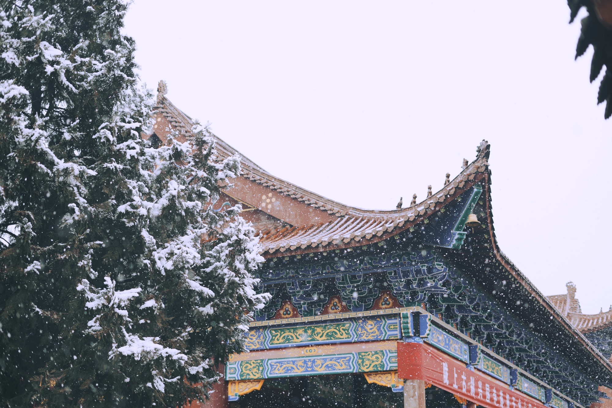 兴国寺实景照片