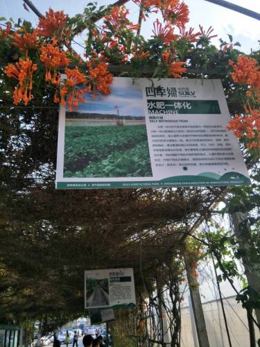 四季绿农业科普园旅行图片 3