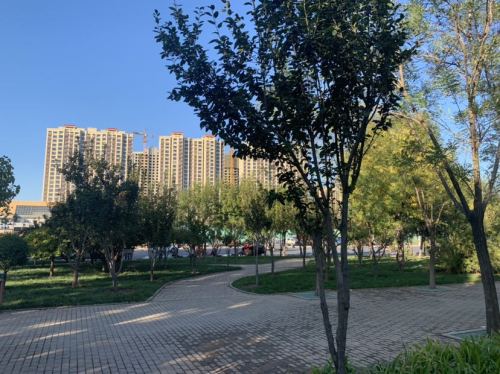 永济游园旅行图片 2