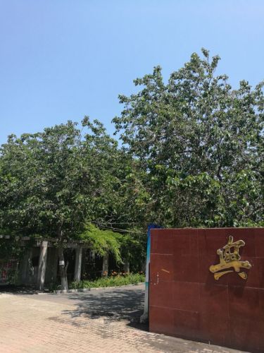 兴海公园旅行图片 2
