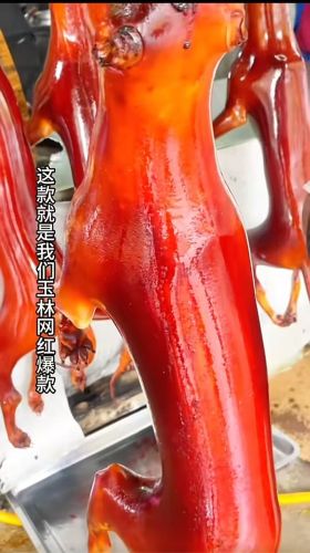 广西玉林阿表干锅脆皮狗肉