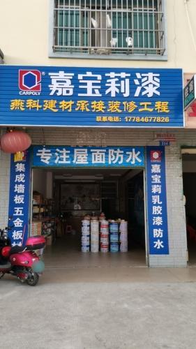 嘉宝莉漆防水涂料