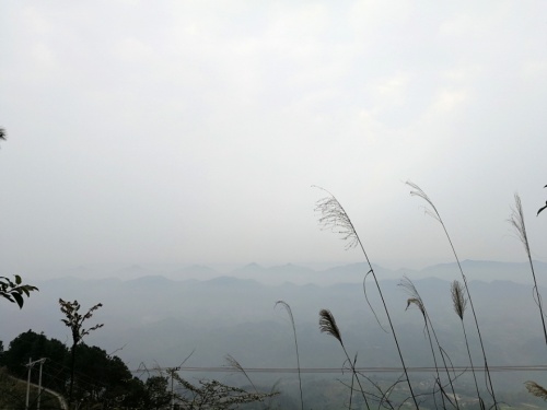 天心寺禅茶文化旅游区旅行图片 2