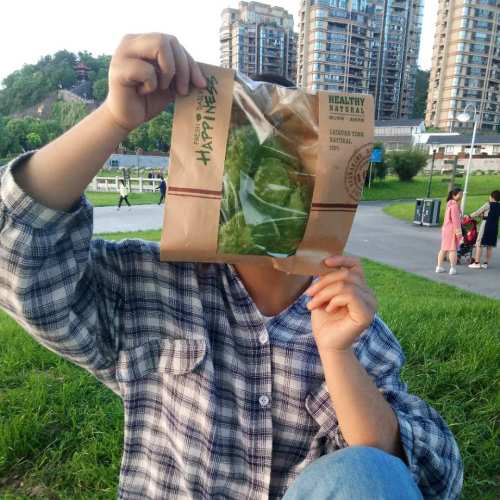湿地公园旅行图片 1