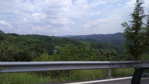 茅庵森林公园旅行图片 1