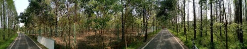 釜山卧龙公园旅行图片 1