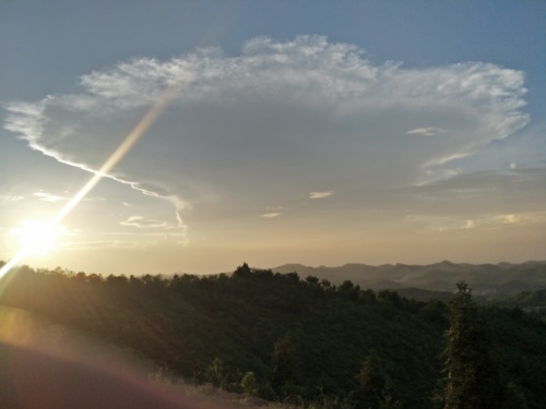 五华天云岭森林公园旅行图片 2