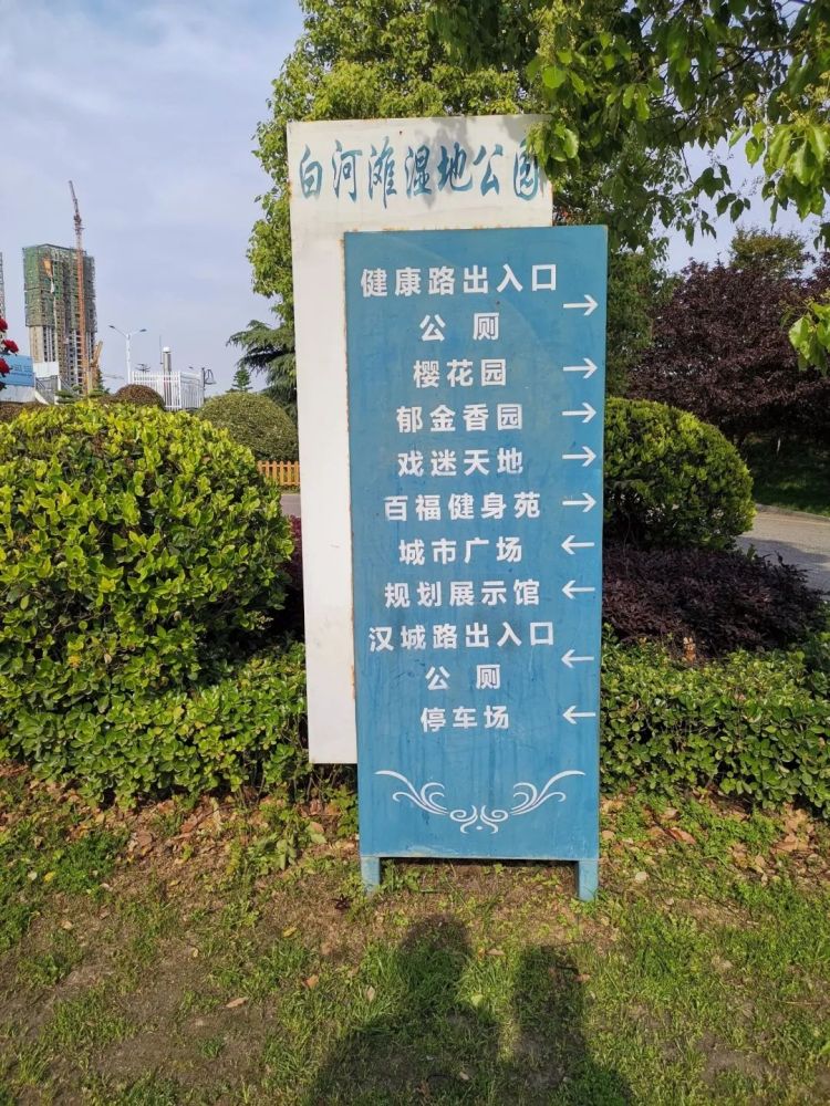 白河滩湿地公园景点图片