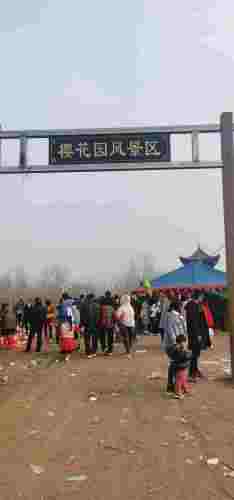 樱花阁旅行图片 3