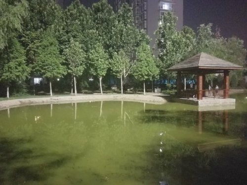 槐阳公园旅行图片 1