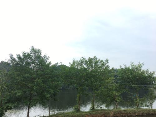 益阳市新桥河镇石门塘水库休闲村旅行图片 1