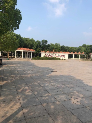 沈师桥公园旅行图片 2