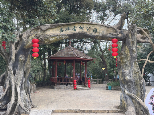 吴垟古树公园