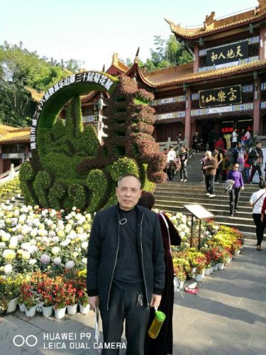 凤凰山森林公园旅行图片 1