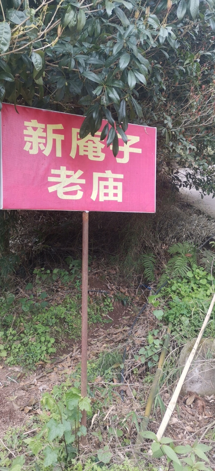 新庵子庙实景照片