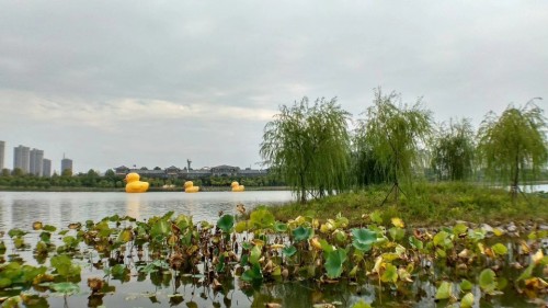 新汴河水利风景区旅行图片 3
