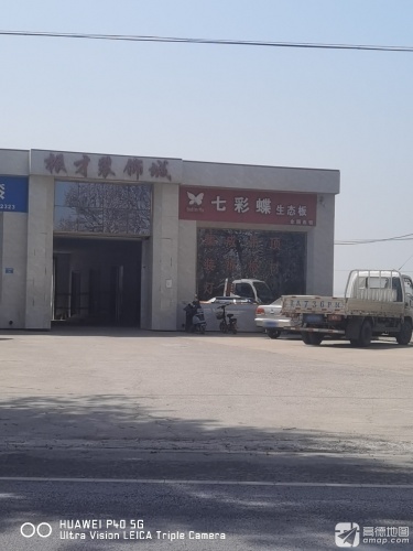 振才装饰门市