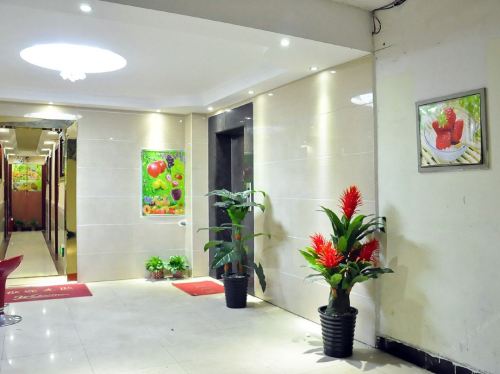 Gallery 2
