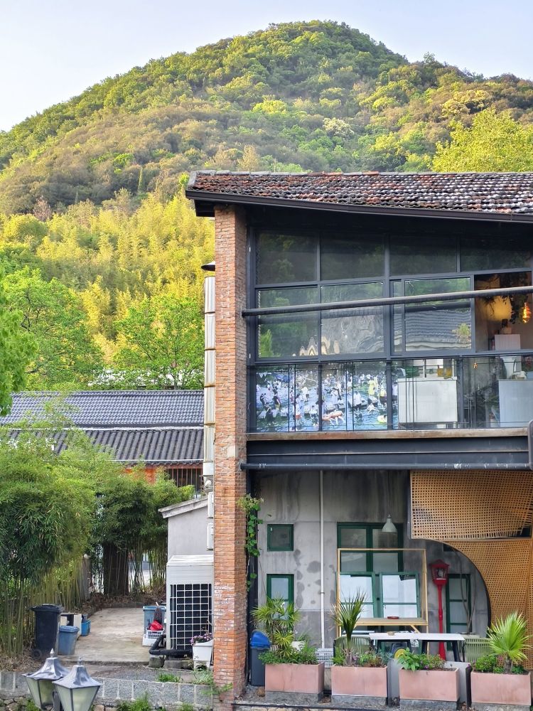 莫干山镇庾村广场景点图片