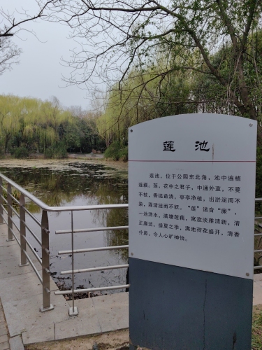 盐城廉政文化公园-莲池