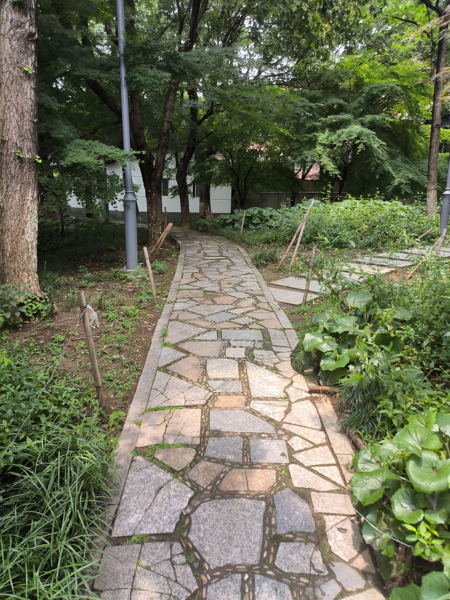 葑门石炮头公园