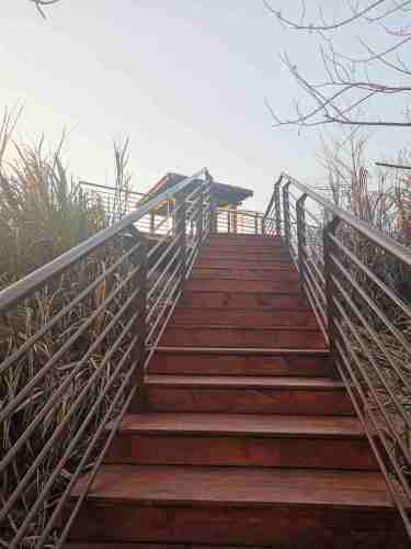 乡村森林公园旅行图片 2