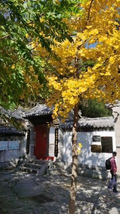 三清殿实景照片