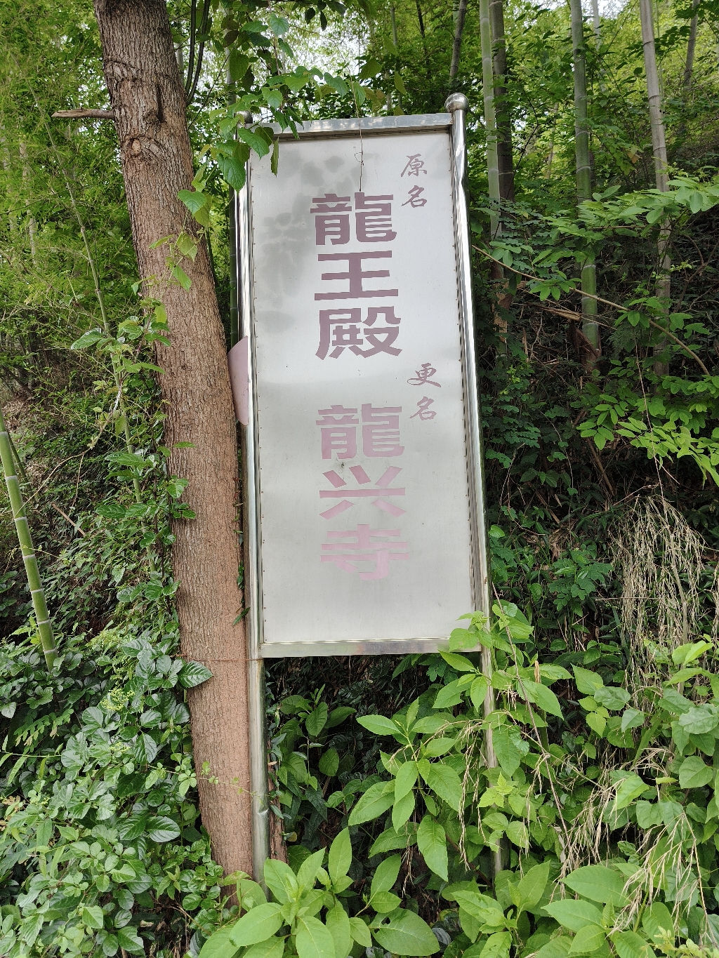 龙兴寺实景照片
