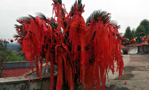 石佛娘仙境旅行图片 2