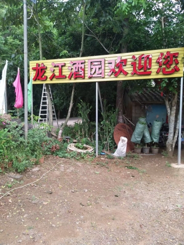 龙江酒园