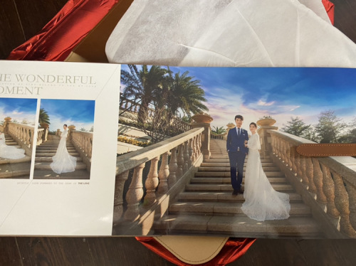 海豚湾公园旅行图片 1