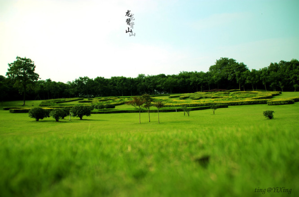 宜兴龙背山森林公园景点图片