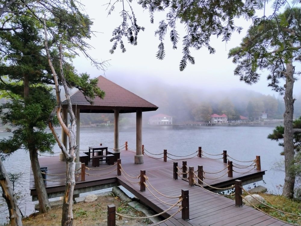 如琴湖景点图片