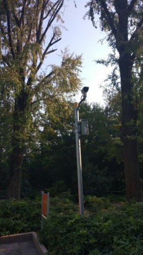 小河口银杏园旅行图片 1