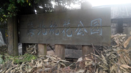 荔湾区海北东石桃花公园旅行图片 2