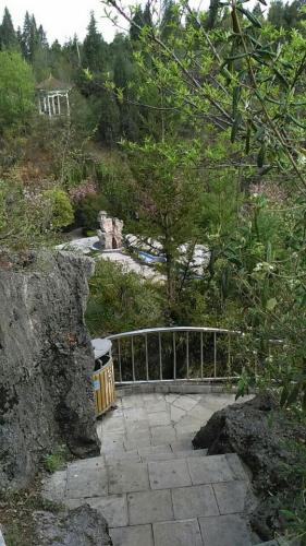 红果后山公园旅行图片 3