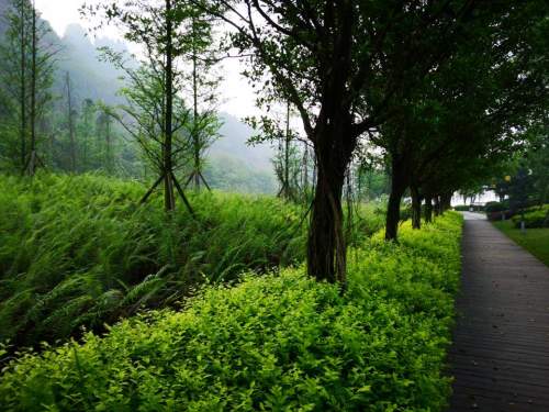 莲里公园旅行图片 3