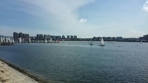 五缘湾旅行图片 2