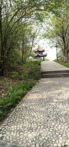 笔架山广场旅行图片 3