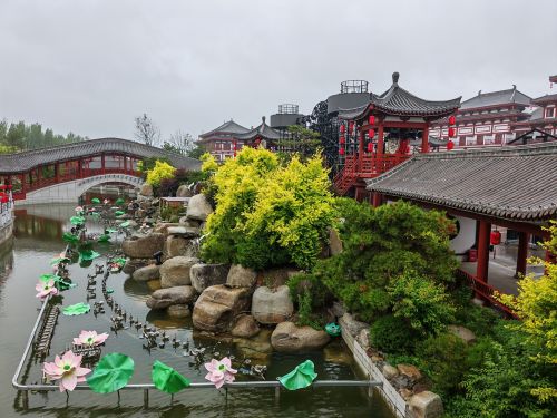 渤海古镇现场照片 2