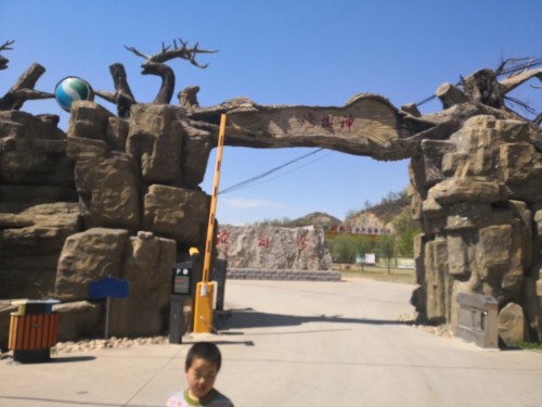 神树湾旅行图片 3